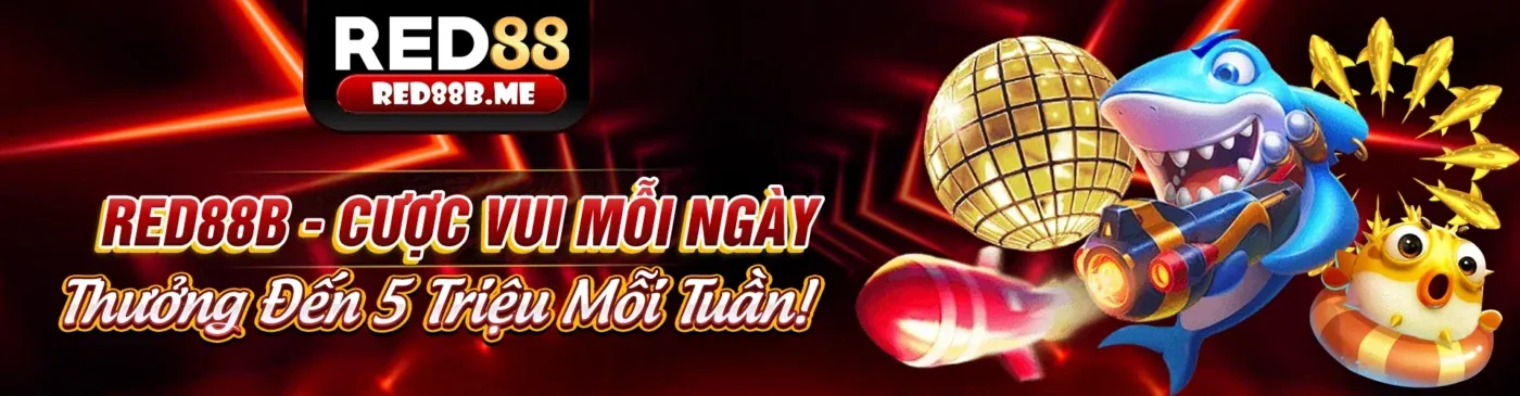 choang casino - Nền tảng giải trí trực tuyến hàng đầu
